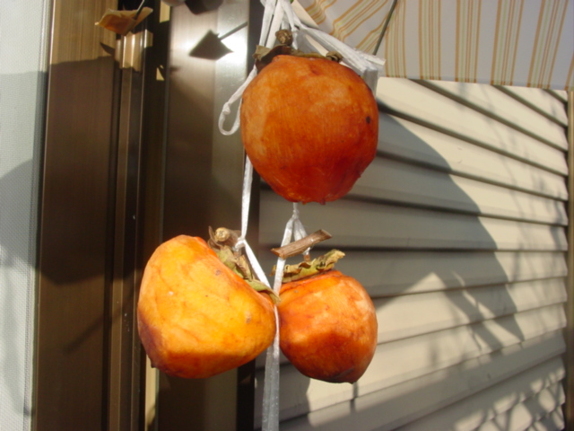 原寸大の写真へ 原寸大の写真へ