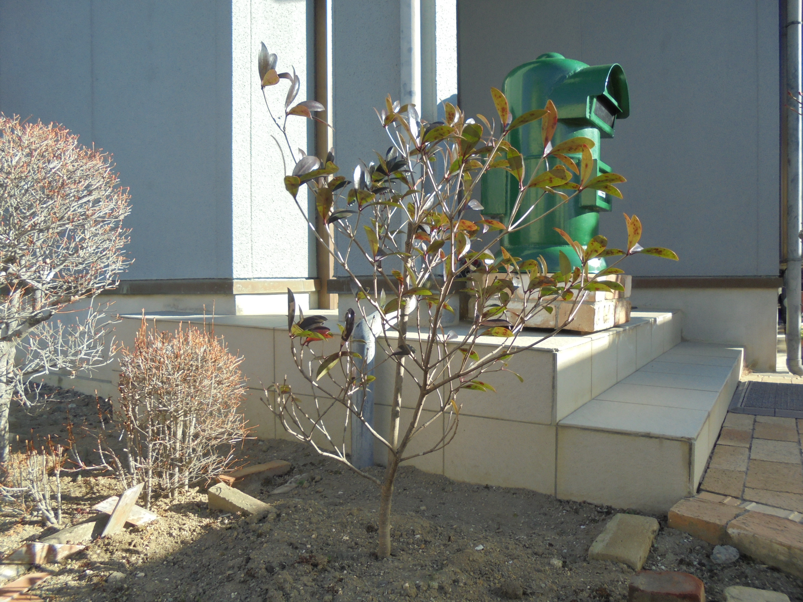 原寸大の写真へ 原寸大の写真へ